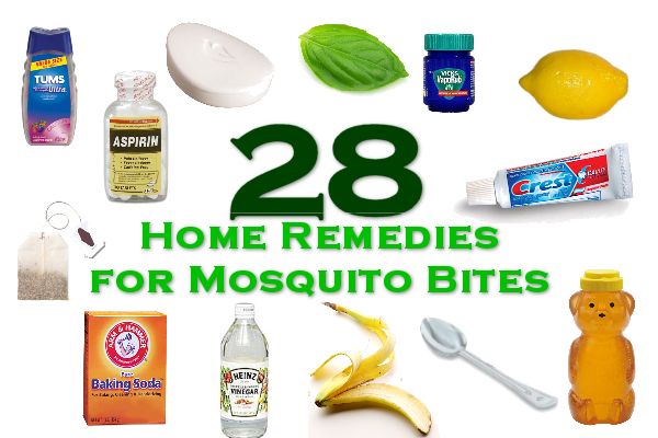 how-to-treat-mosquito-bites-tasly-health-products