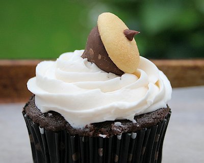 acorn cupcake