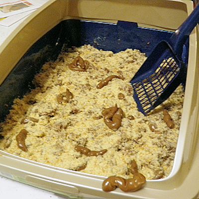 Kitty Litter Cake