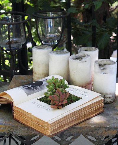 DIY Book Planters