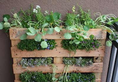 How to Turn a Pallet into a Garden