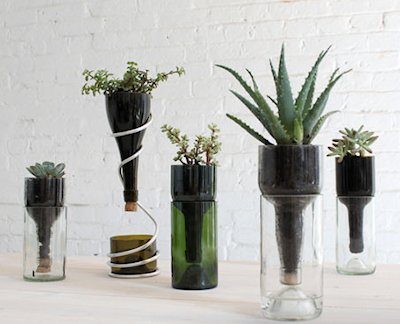 Recycled Wine Bottle Planters