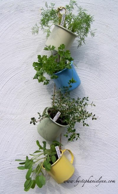 Coffee Cup Herb Garden