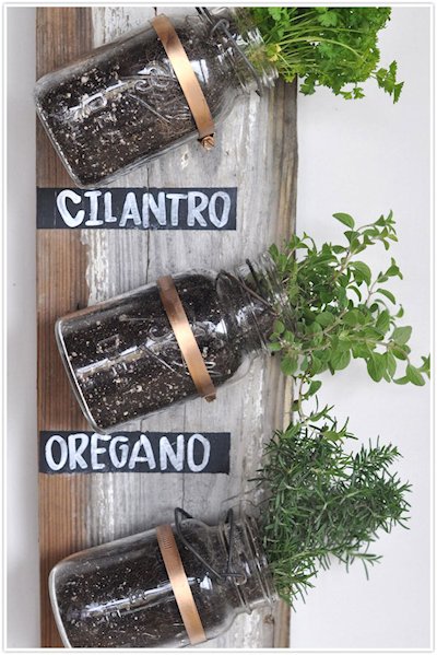 Mason Jar Herb Garden