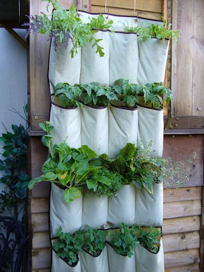 Shoe Organizer Garden