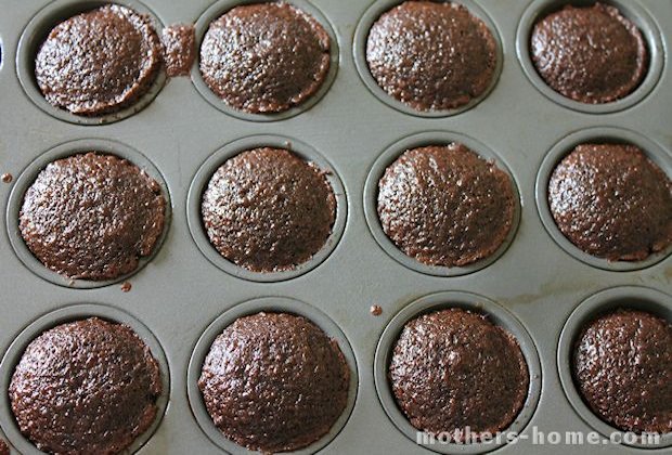 smore bites out of the oven