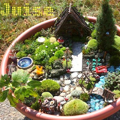  Tour of a Fairy Garden