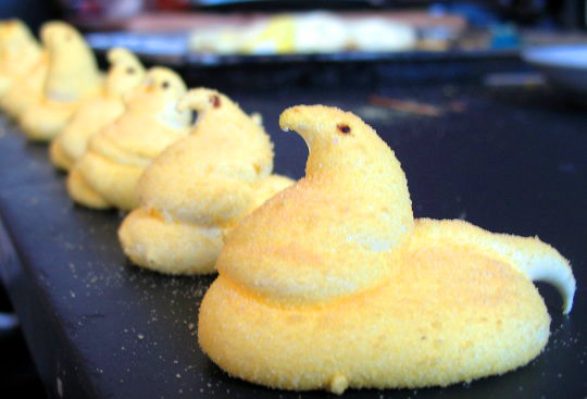 Homemade Peep Chicks