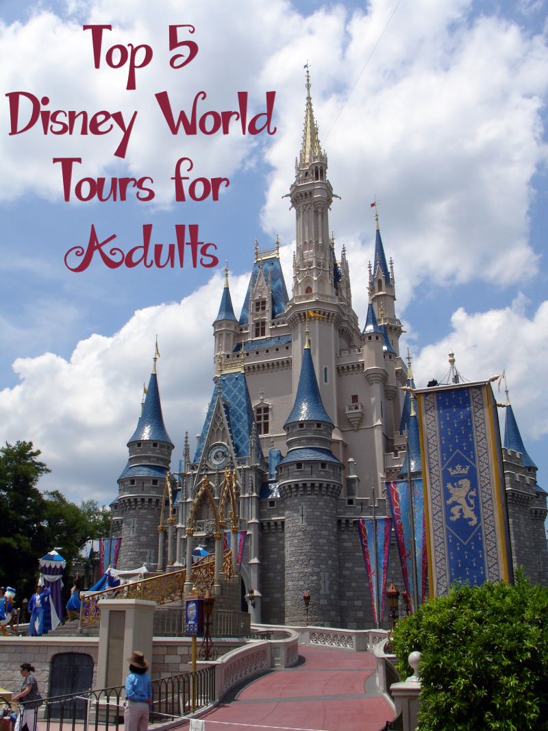 Top 5 Disney World Tours for Adults