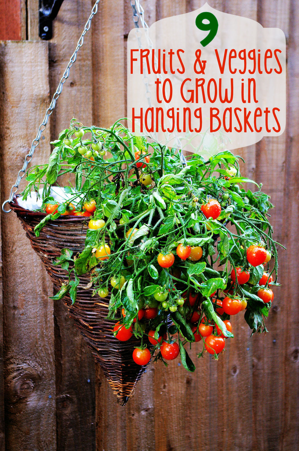 Grow Vegetables in Hanging Baskets - FineGardening