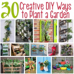 30 Creative DIY Ways to Plant a Garden | Mother's Home
