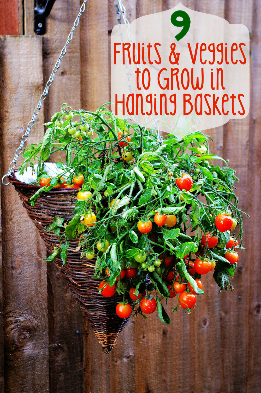 9 Fruits And Veggies To Grow In Hanging Baskets